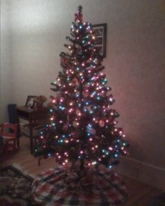 first tree
